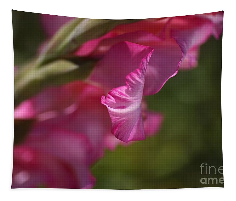 Hortulanus Art Tapestry featuring the photograph Pink Side Of Gladioli by Joy Watson