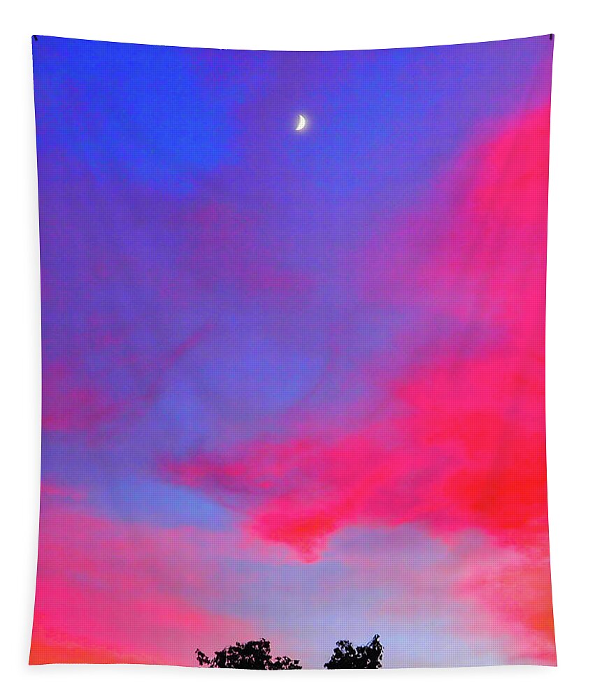 Pink Tapestry featuring the photograph Pink Sky by Grey Coopre
