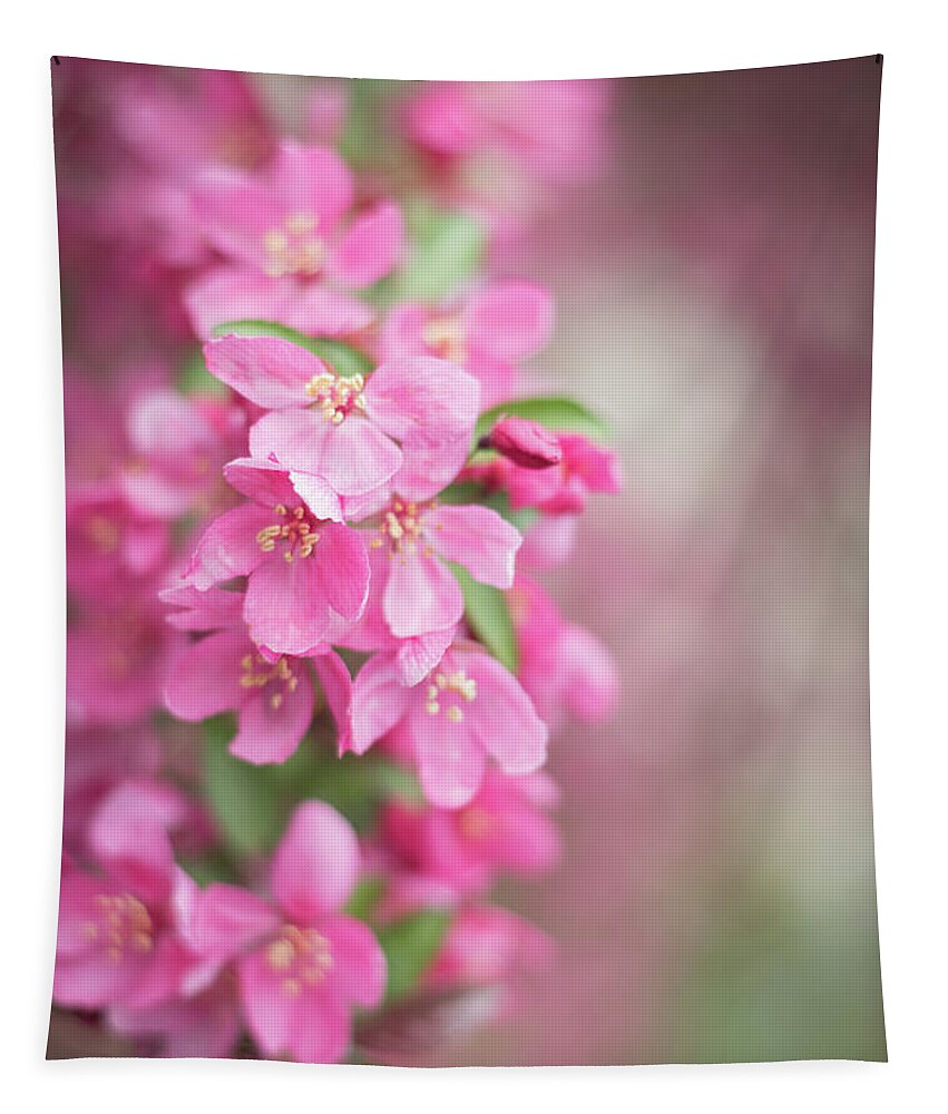Dupage County Tapestry featuring the photograph Pink Spring Crabapple Blossoms 1 by Joni Eskridge