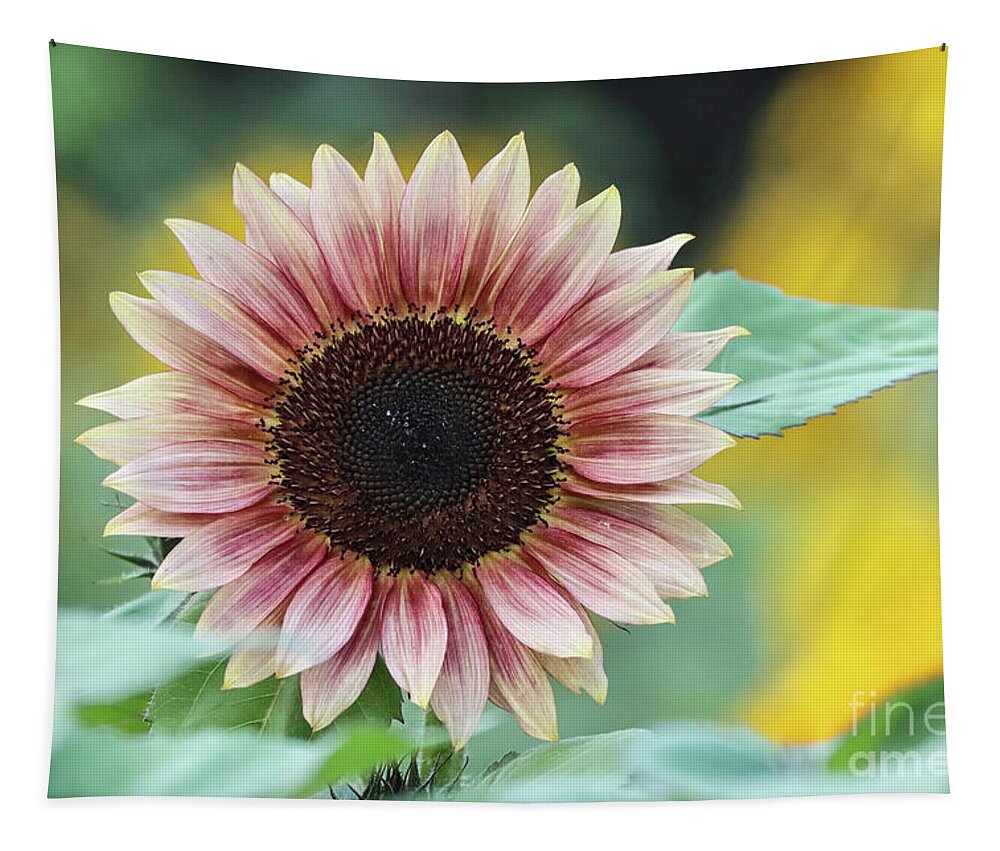 Sunflower Tapestry featuring the photograph Pink Sunflower by Vivian Krug Cotton