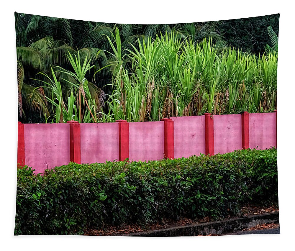 Havana Cuba Tapestry featuring the photograph Pink Wall by Tom Singleton