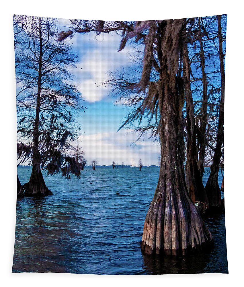 Blue Tapestry featuring the photograph Pinopolis Point by Louis Dallara
