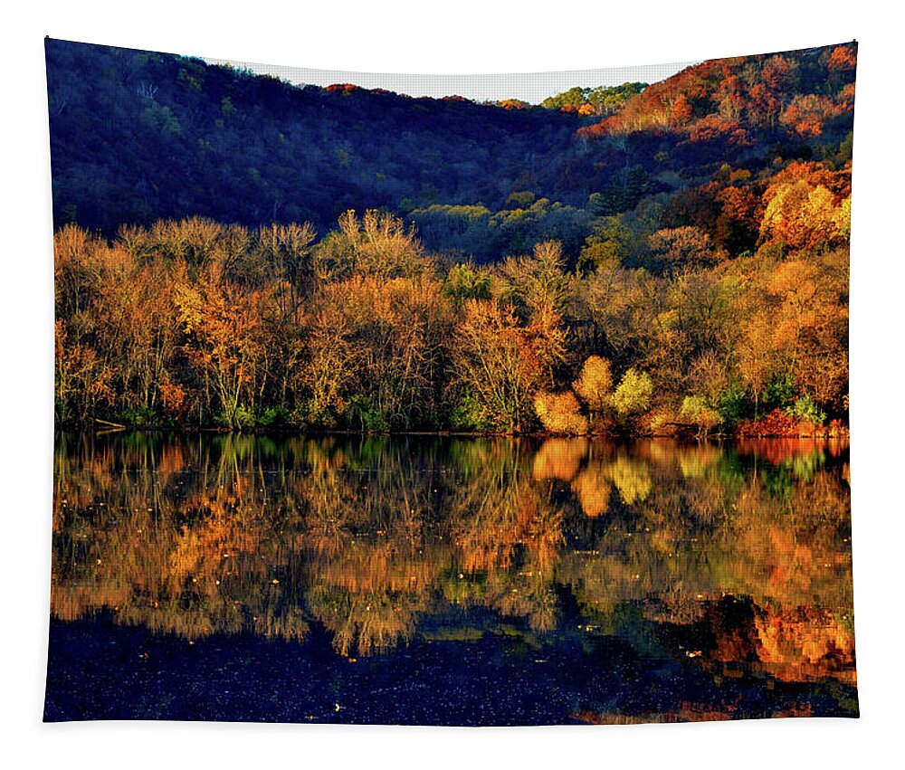 Fall Tapestry featuring the photograph Pinwheel by Susie Loechler
