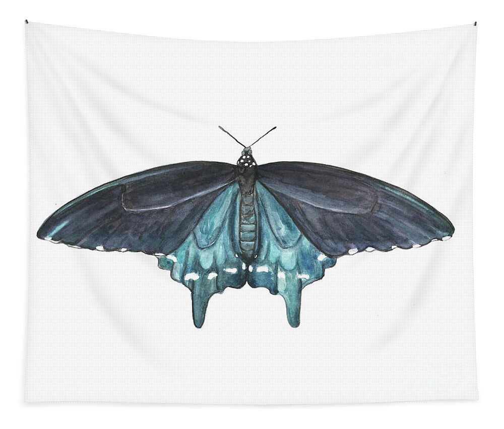 Butterfly Butterflies Florida American Pipevine Swallowtail Blue Navy Transformation Watercolor Tapestry featuring the painting Pipevine Swallowtail Butterfly by Pamela Schwartz