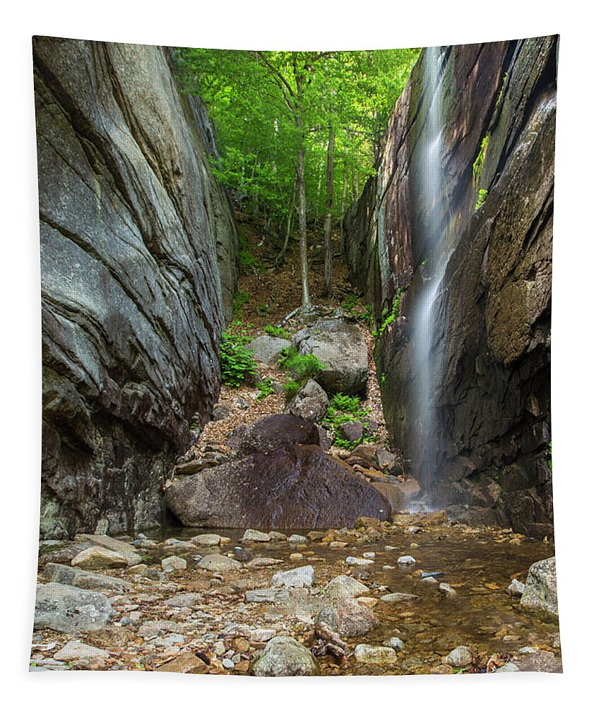 Pitcher Tapestry featuring the photograph Pitcher Falls Vertical by White Mountain Images