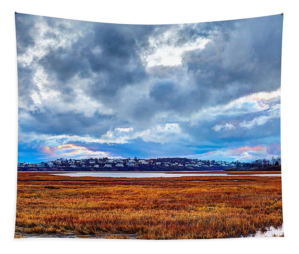  Tapestry featuring the photograph Plum Island Skies by Adam Green