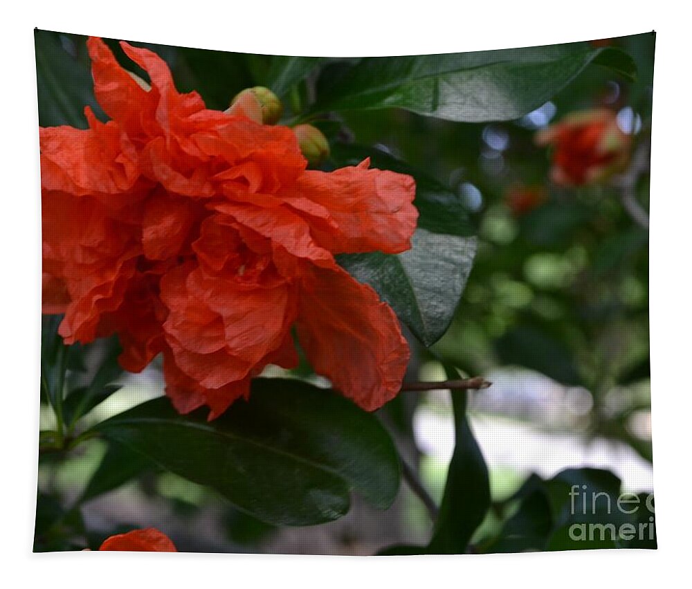 Pomegranate Flower Tapestry featuring the photograph Pomegranate Flower by Expressions By Stephanie