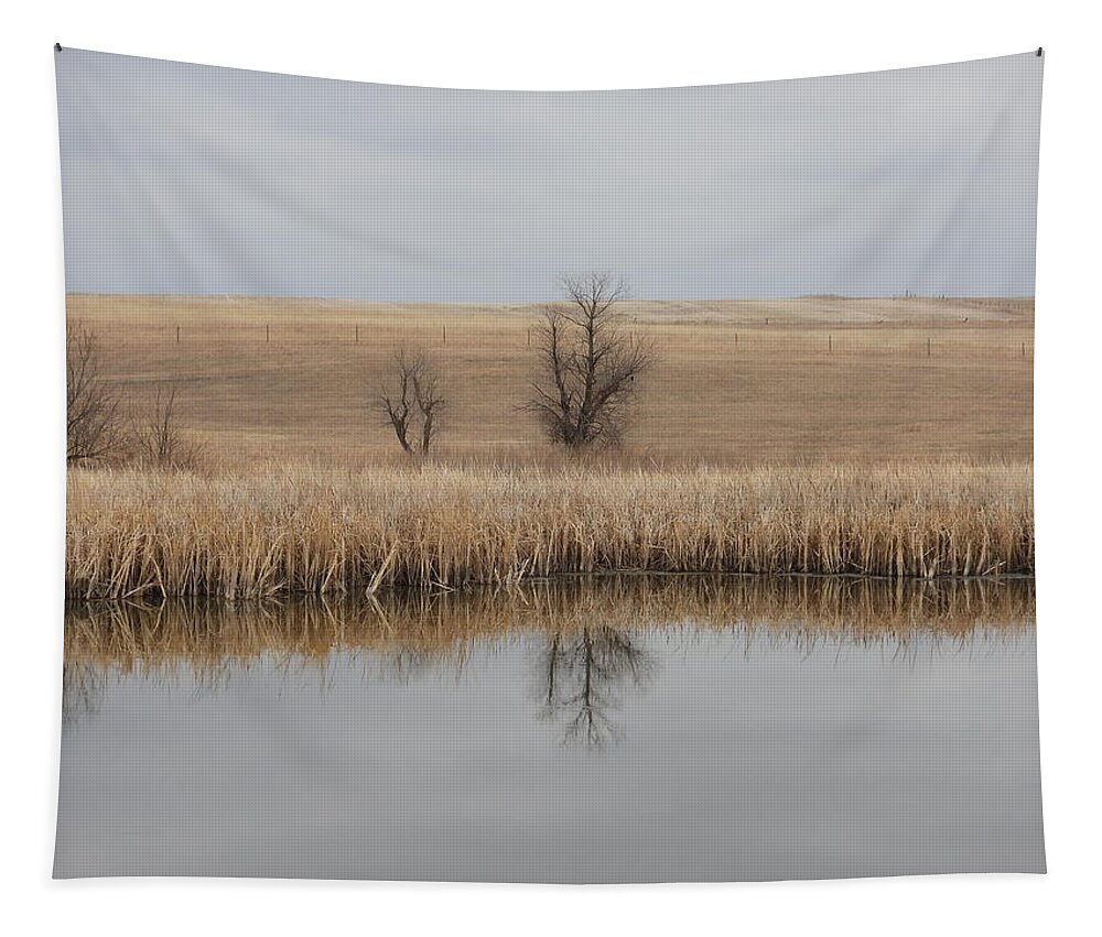 Pond Tapestry featuring the photograph Pond Reflection by Amanda R Wright