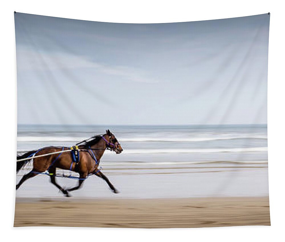 Pony Tapestry featuring the photograph Pony and Trap by Nigel R Bell