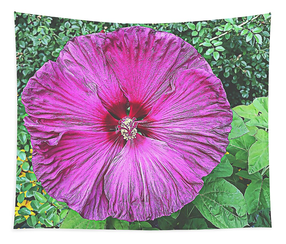 Flower Tapestry featuring the photograph Pop Of Pink by Jennifer Grossnickle