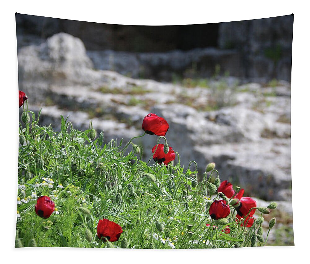 Poppies Tapestry featuring the photograph Poppies and Ruins by M Kathleen Warren