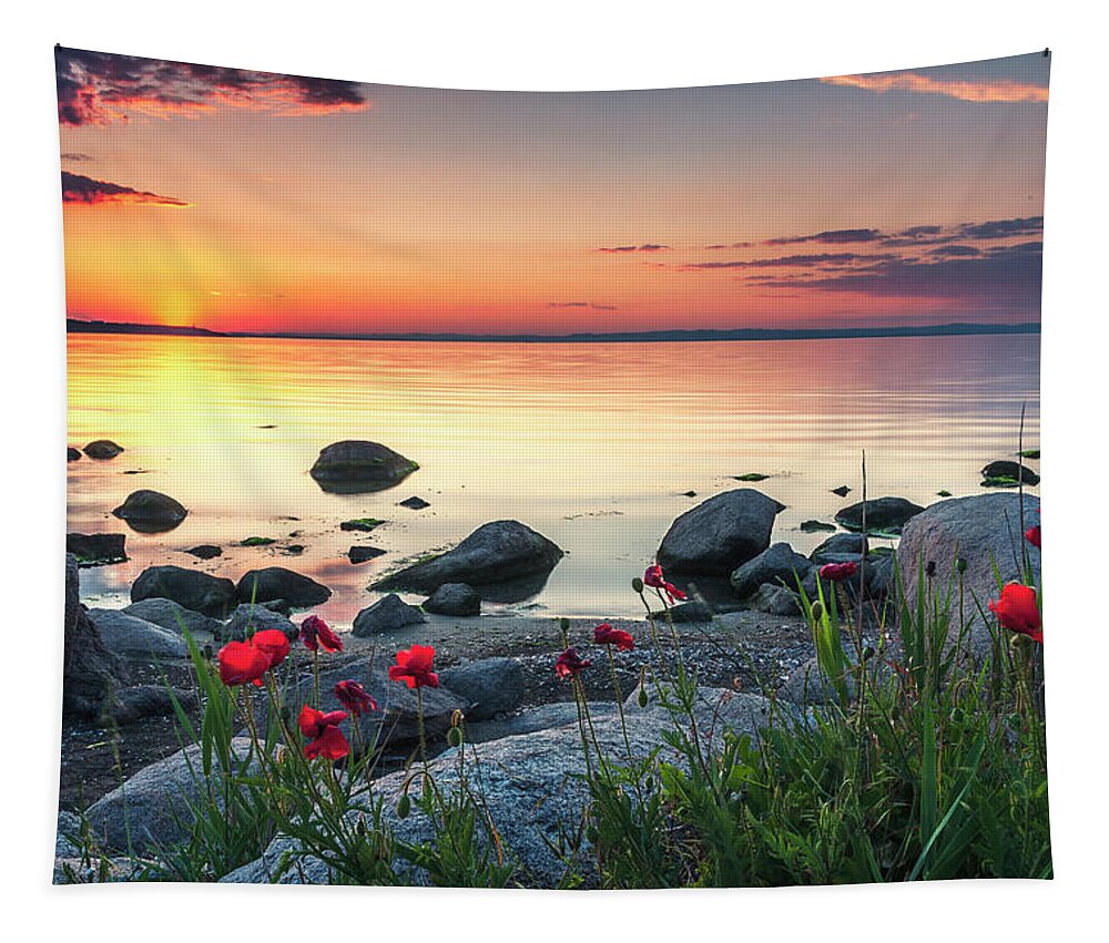 Sea Tapestry featuring the photograph Poppies By the Sea by Evgeni Dinev