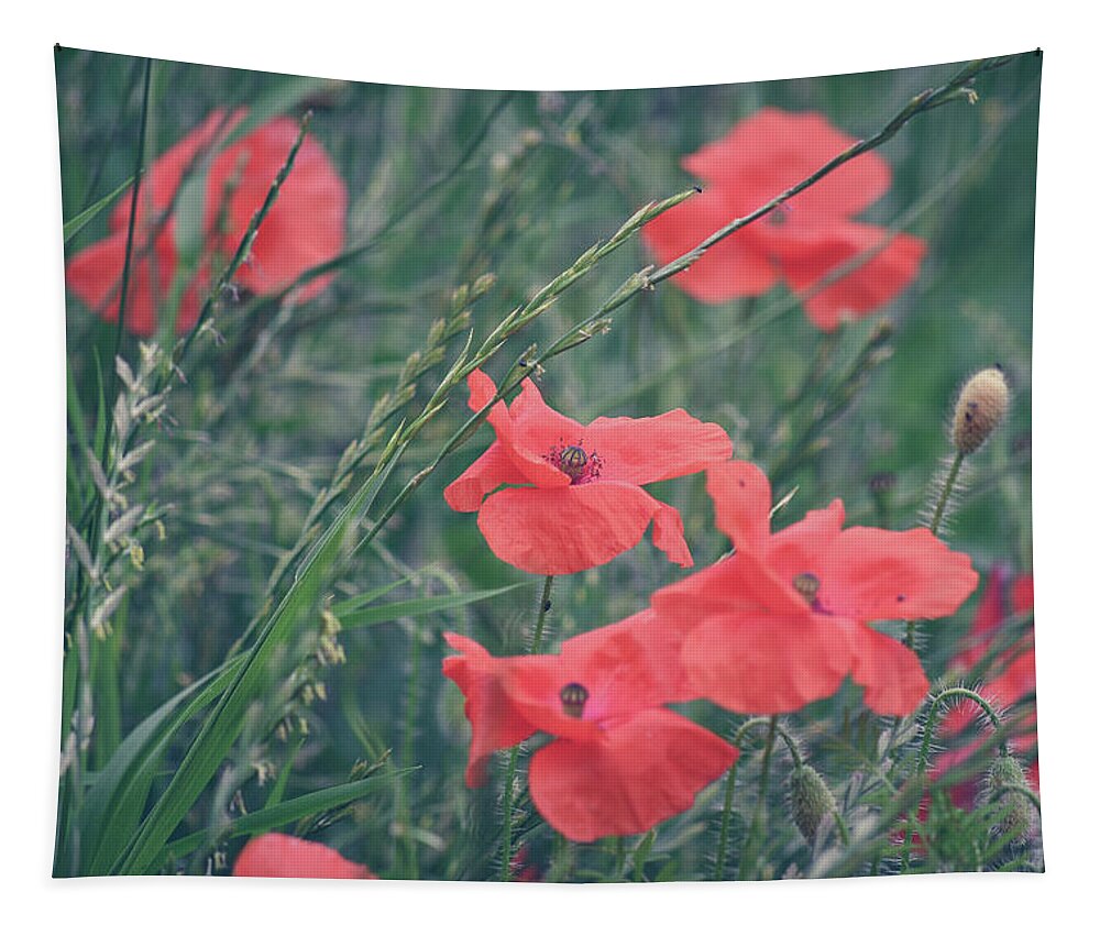 Poppies Tapestry featuring the photograph Poppies in a field by Andrew Lalchan