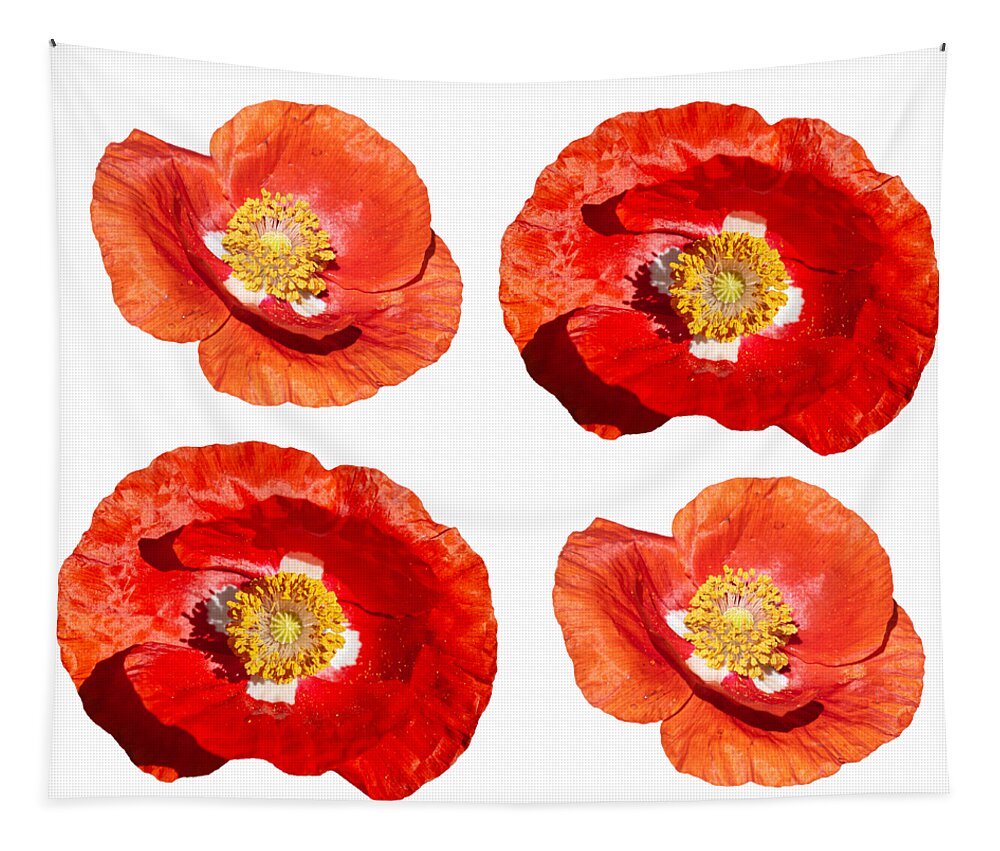 Ornamental Poppy Tapestry featuring the photograph Poppy Design 2021-1 by Thomas Young