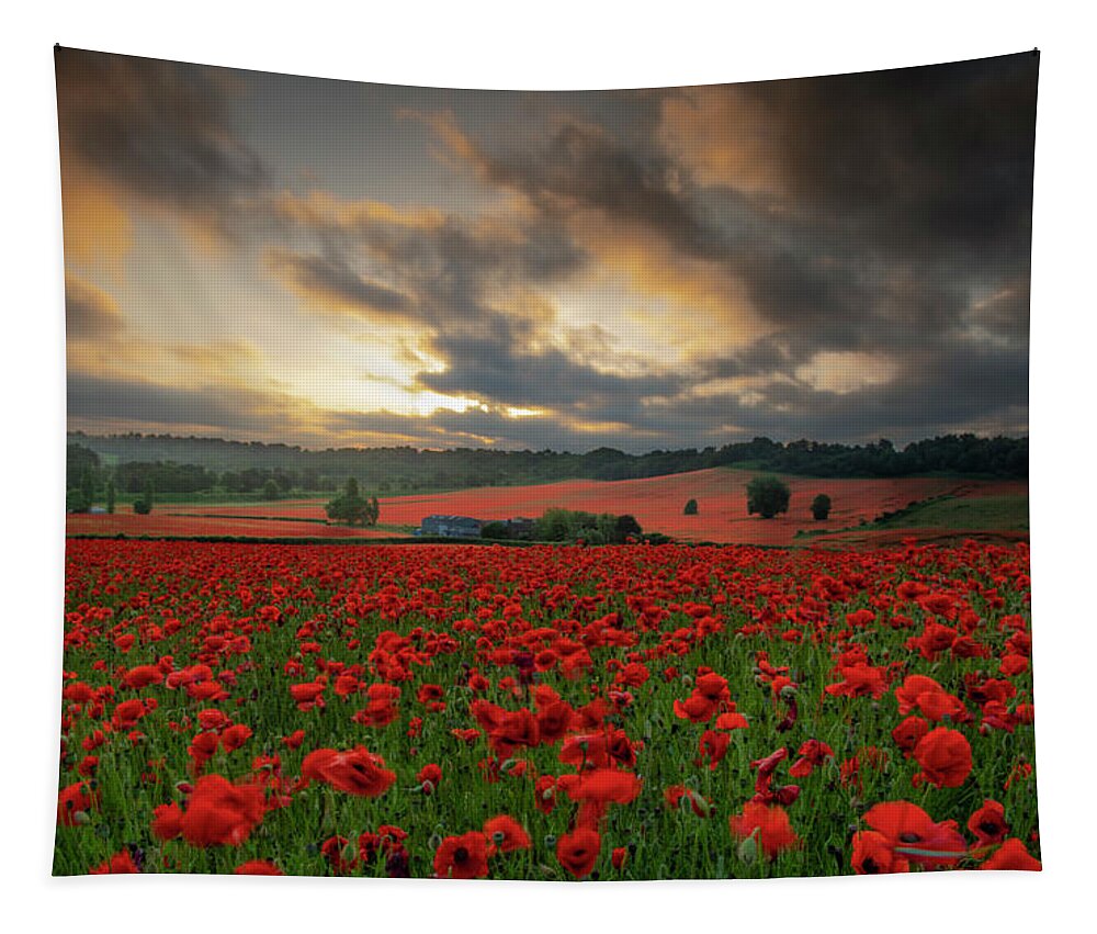 Landscape Tapestry featuring the pyrography Poppy field 2 by Remigiusz MARCZAK