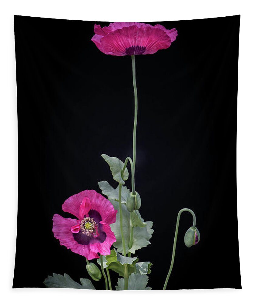 Still Life Tapestry featuring the photograph Poppy Passion by Maggie Terlecki