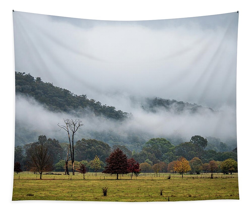 Fog Tapestry featuring the photograph Porpunkah Fog by Vicki Walsh