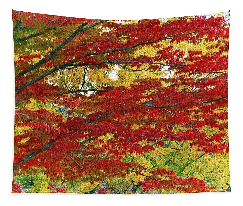 Abstract Tapestry featuring the photograph Port Gamble Fall Colors by David Desautel