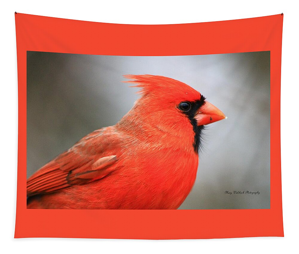 Birds Wildlife Nature Tapestry featuring the photograph Portrait of a Cardinal by Mary Walchuck