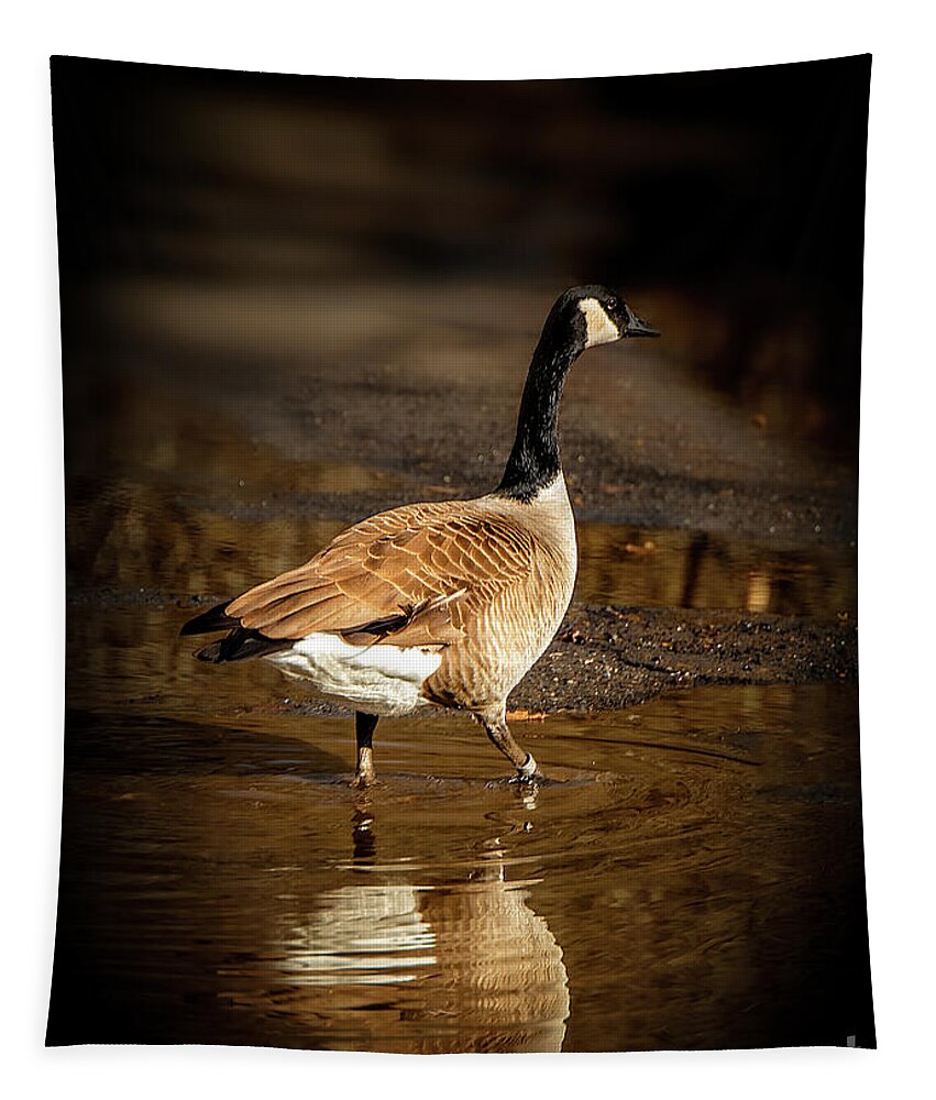 Goose Tapestry featuring the photograph Portrait of a Goose by Shelia Hunt