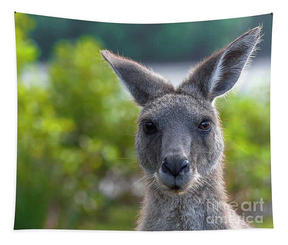 Kangaroo Tapestry featuring the photograph Portrait of a Wild Kangaroo by Daniel M Walsh