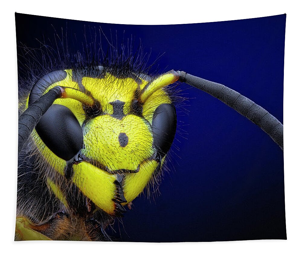 Portrait Of A Yellow-jacket Wasp Tapestry featuring the photograph Portrait of a Yellow-jacket Wasp by Endre Balogh
