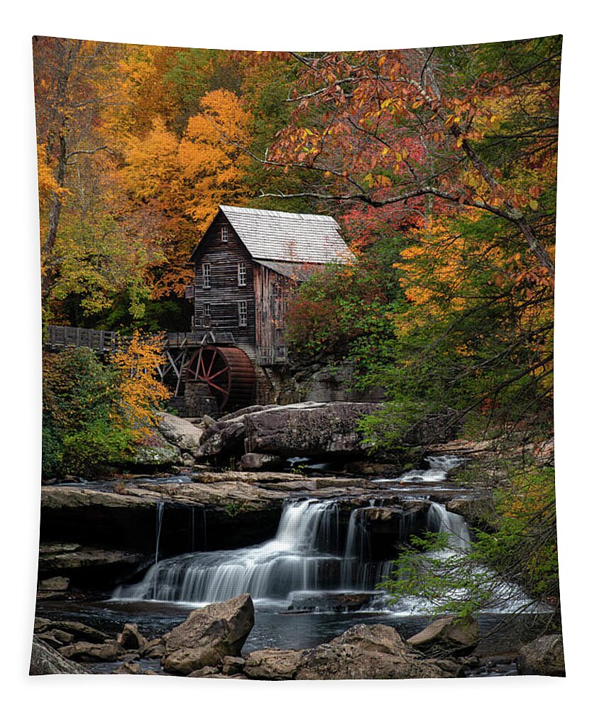 Blue Ridge Mountains Tapestry featuring the photograph Portrait of Beauty by Robert J Wagner