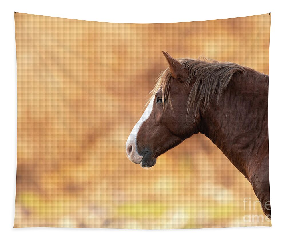Stallion Tapestry featuring the photograph Portrait by Shannon Hastings