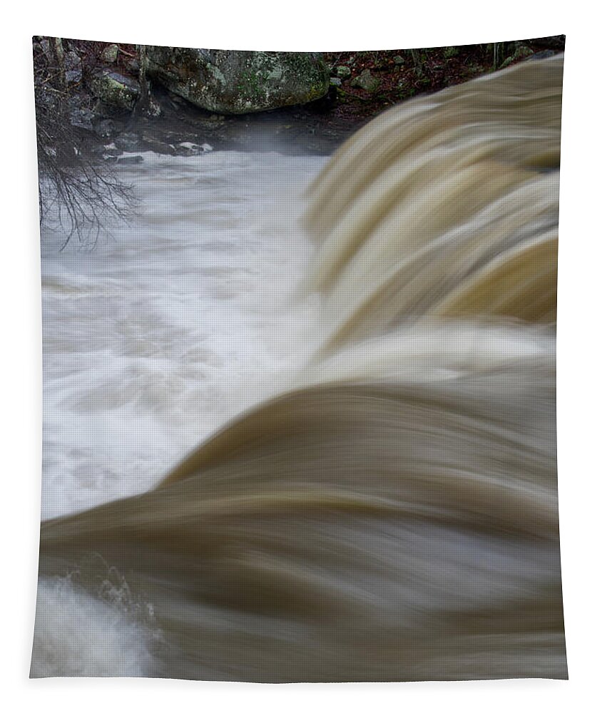 Waterfall Tapestry featuring the photograph Potter's Falls 15 by Phil Perkins