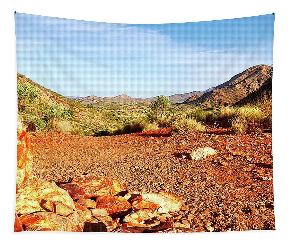 Australia Rocks Tapestry featuring the photograph Pound Track, Ormiston Gorge by Lexa Harpell