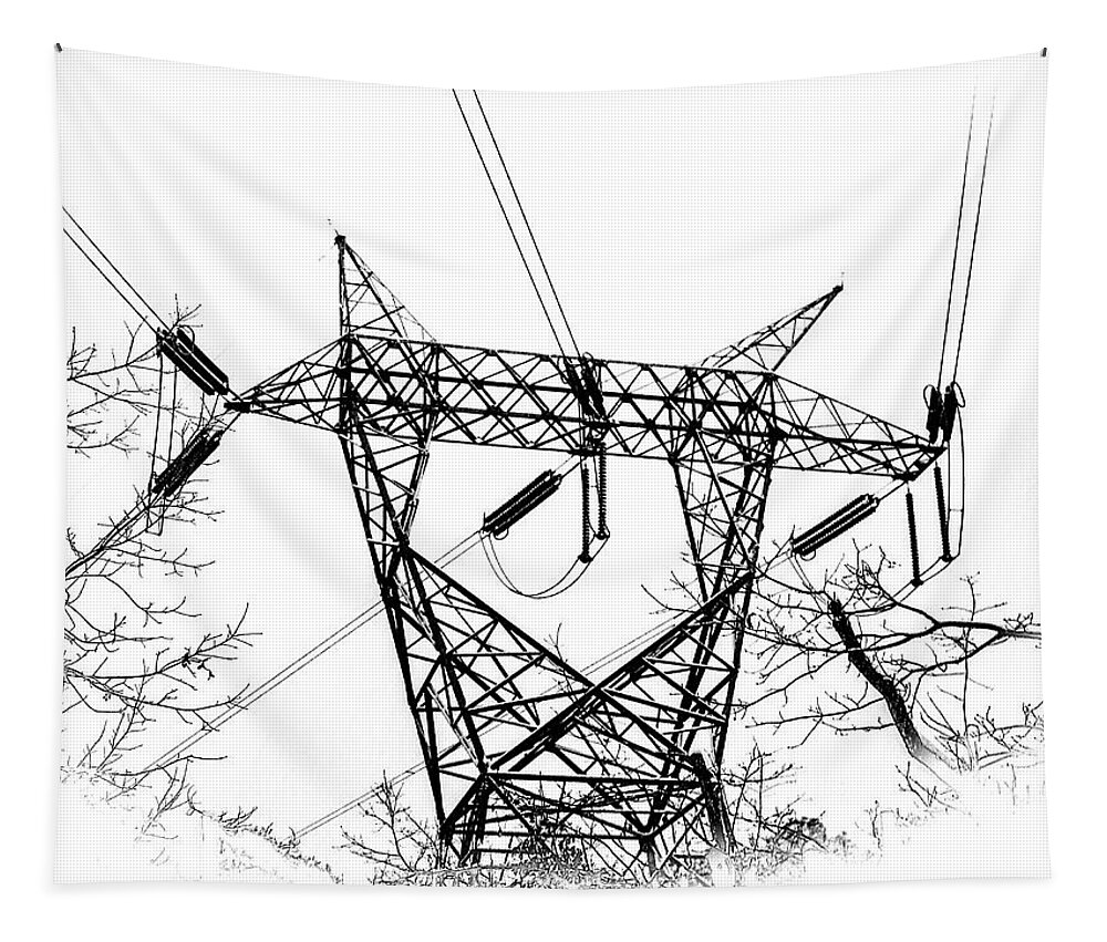 Power Lines Tapestry featuring the photograph Power Lines by Louis Dallara