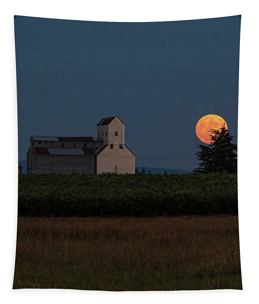 2020-07-04 Tapestry featuring the photograph Pratum, OR moonrise 3 by Ulrich Burkhalter