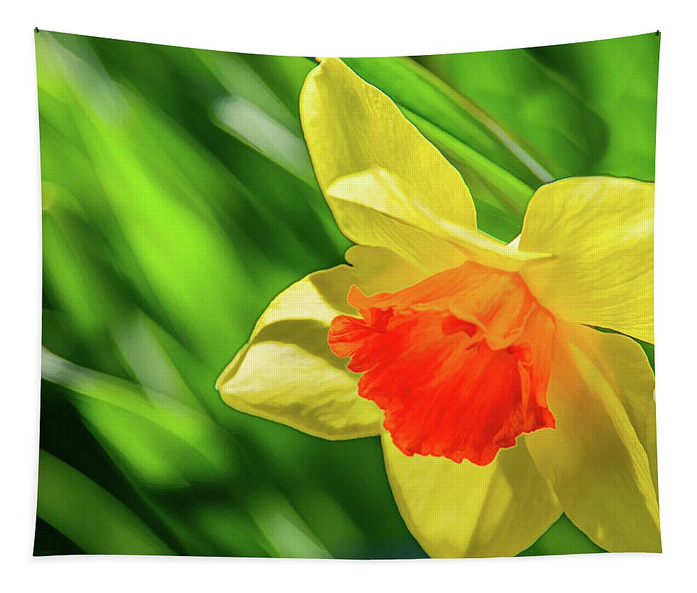 Daffodils Tapestry featuring the photograph Precocious Daffodil by Marcy Wielfaert