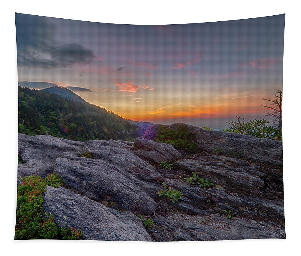 Blue Ridge Mountains Tapestry featuring the photograph Predawn Light by Melissa Southern