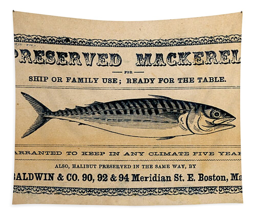 Preserved Mackeral Tapestry featuring the mixed media Preserved Mackerel by Richard Reeve
