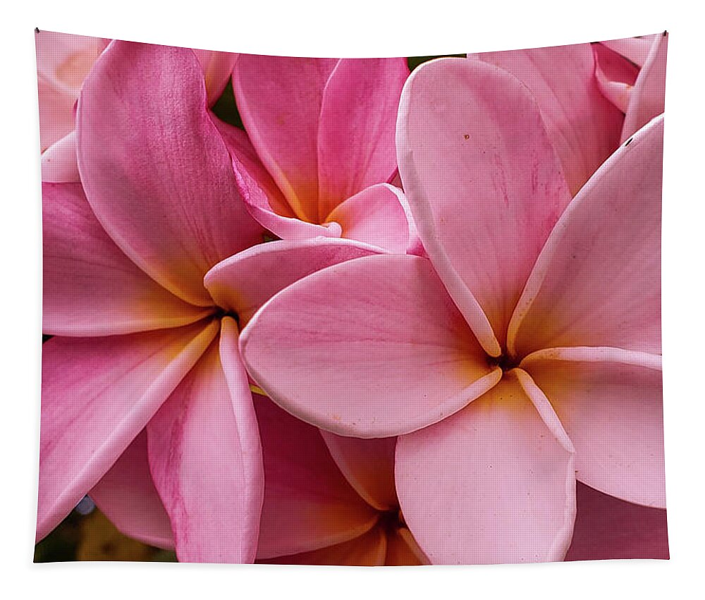 Flowers Tapestry featuring the photograph Pretty in Pink by Tony Spencer