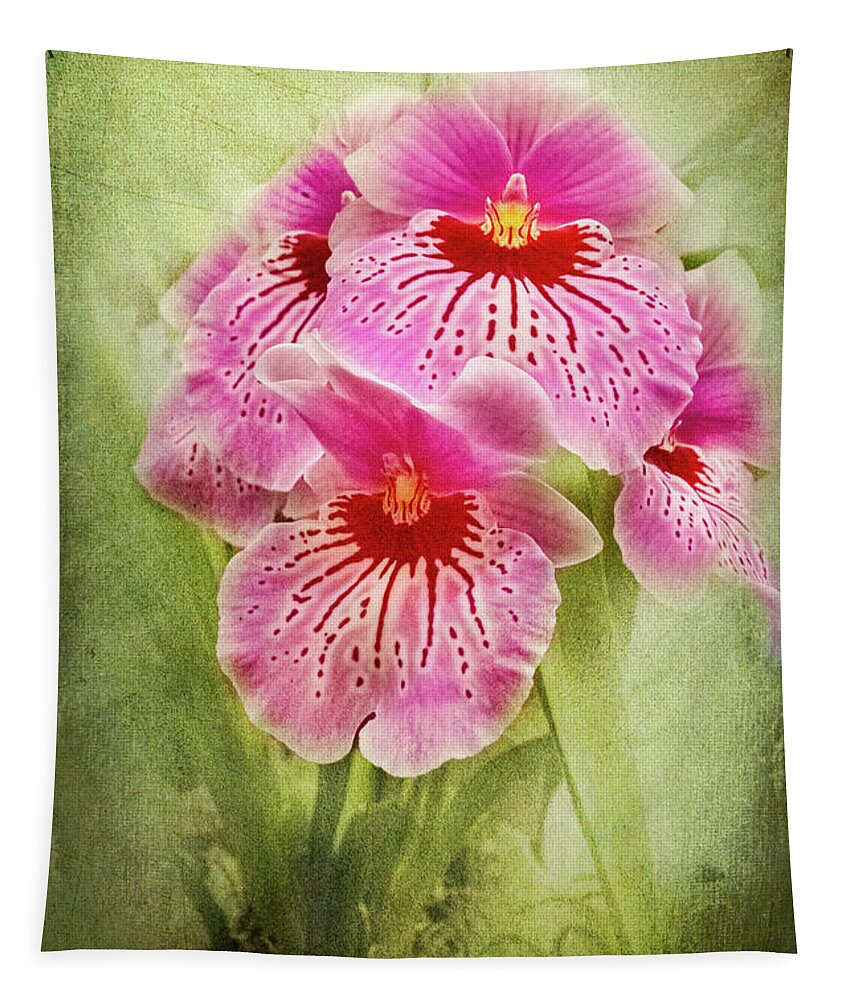 Pansy Tapestry featuring the photograph Pretty Pansy Orchid by Marilyn Cornwell