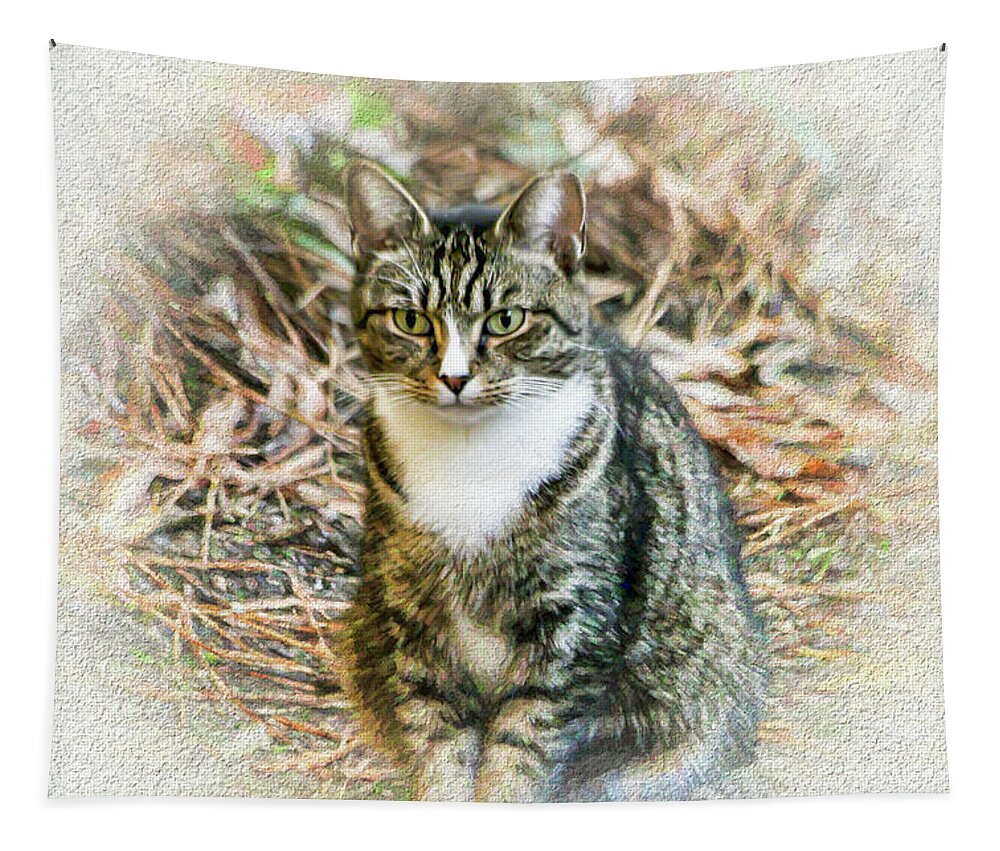 Cat Tapestry featuring the photograph Pretty Tabby Cat by Ola Allen