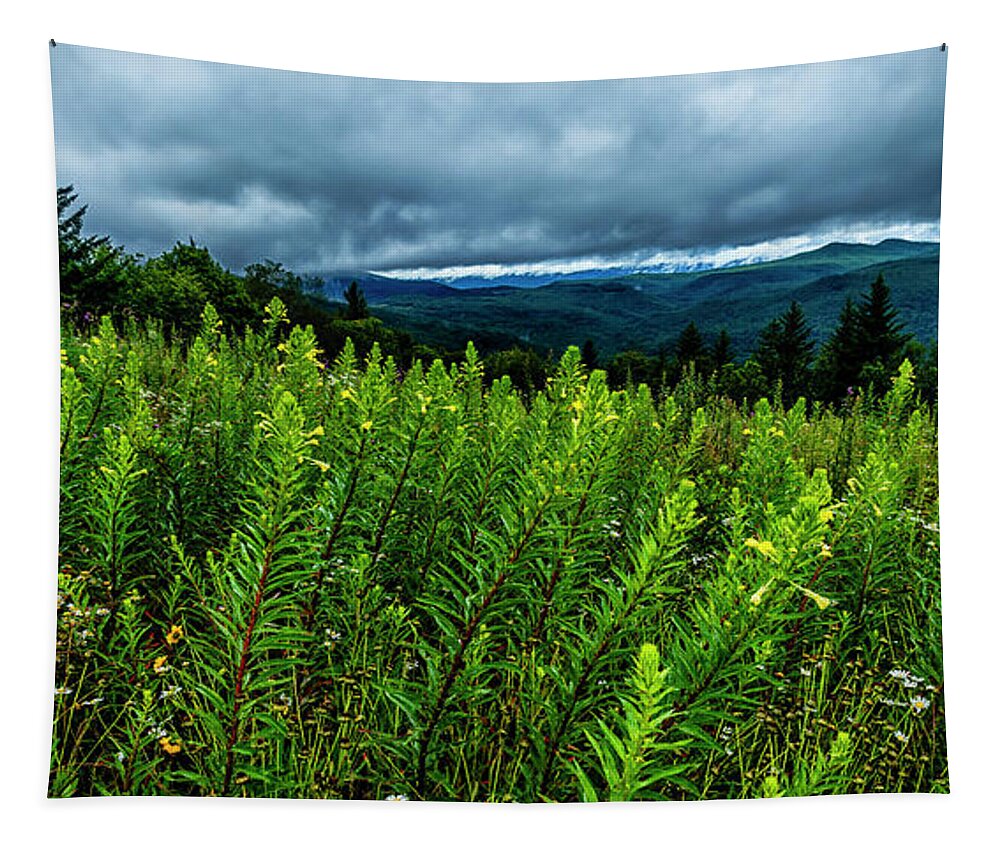 Summer Tapestry featuring the photograph Primrose Panoramic by Thomas R Fletcher