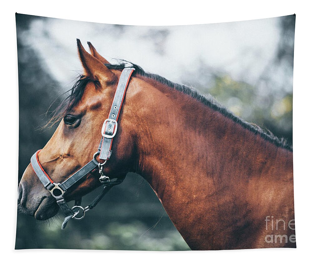 Horse Tapestry featuring the photograph Profile view of a brown horse by Dimitar Hristov