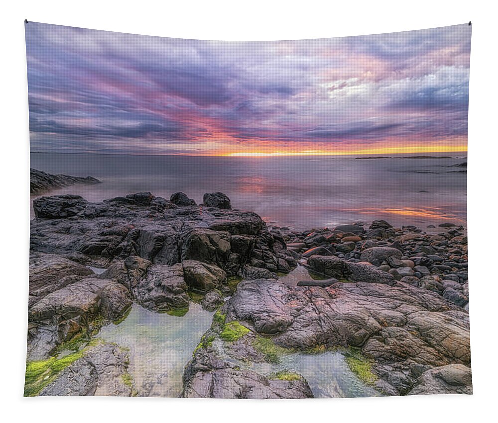 Marginal Way Tapestry featuring the photograph Promise of a New Day by Penny Polakoff