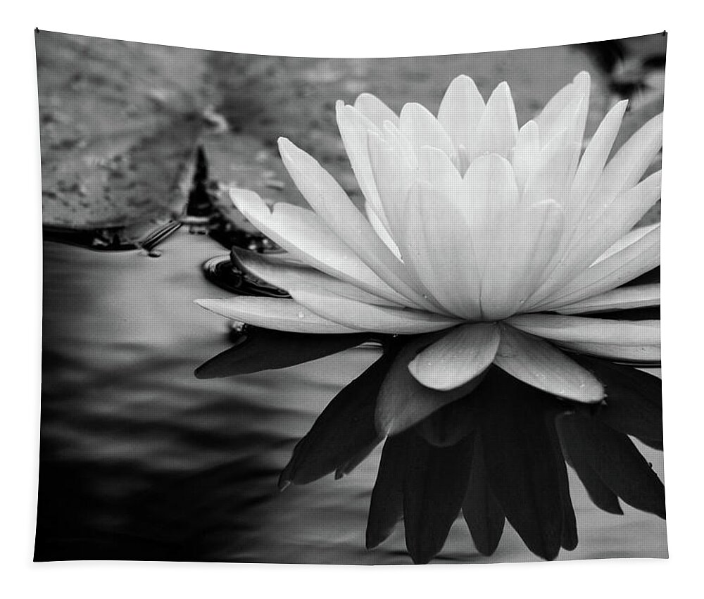 Water Lily Tapestry featuring the photograph Promise of Purity by Mary Anne Delgado