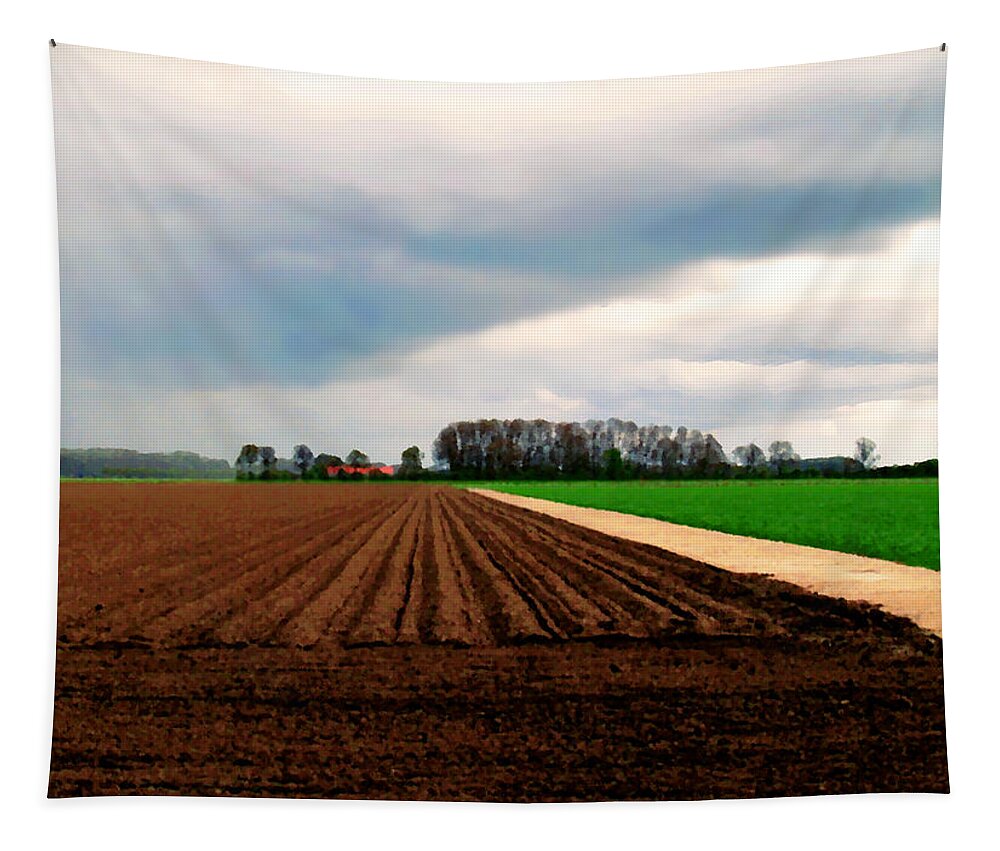 Photgraphy Tapestry featuring the photograph Promissing field by Luc Van de Steeg