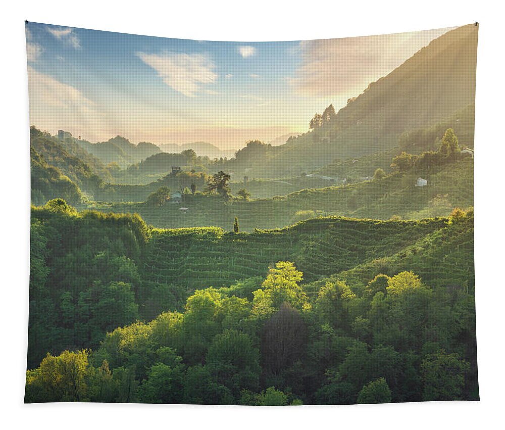 Prosecco Tapestry featuring the photograph Prosecco Hills hogback, vineyards at sunset. Unesco Site. Italy by Stefano Orazzini