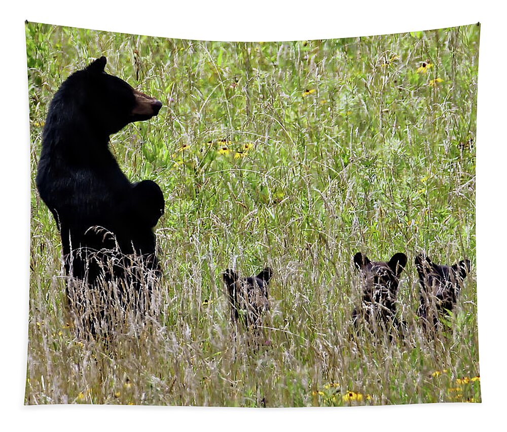 Tennessee Tapestry featuring the photograph Protective Black Bear by Jennifer Robin