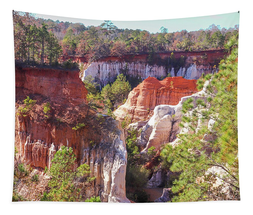 Providence Canyon State Park Tapestry featuring the photograph Providence Canyon Across by Ed Williams