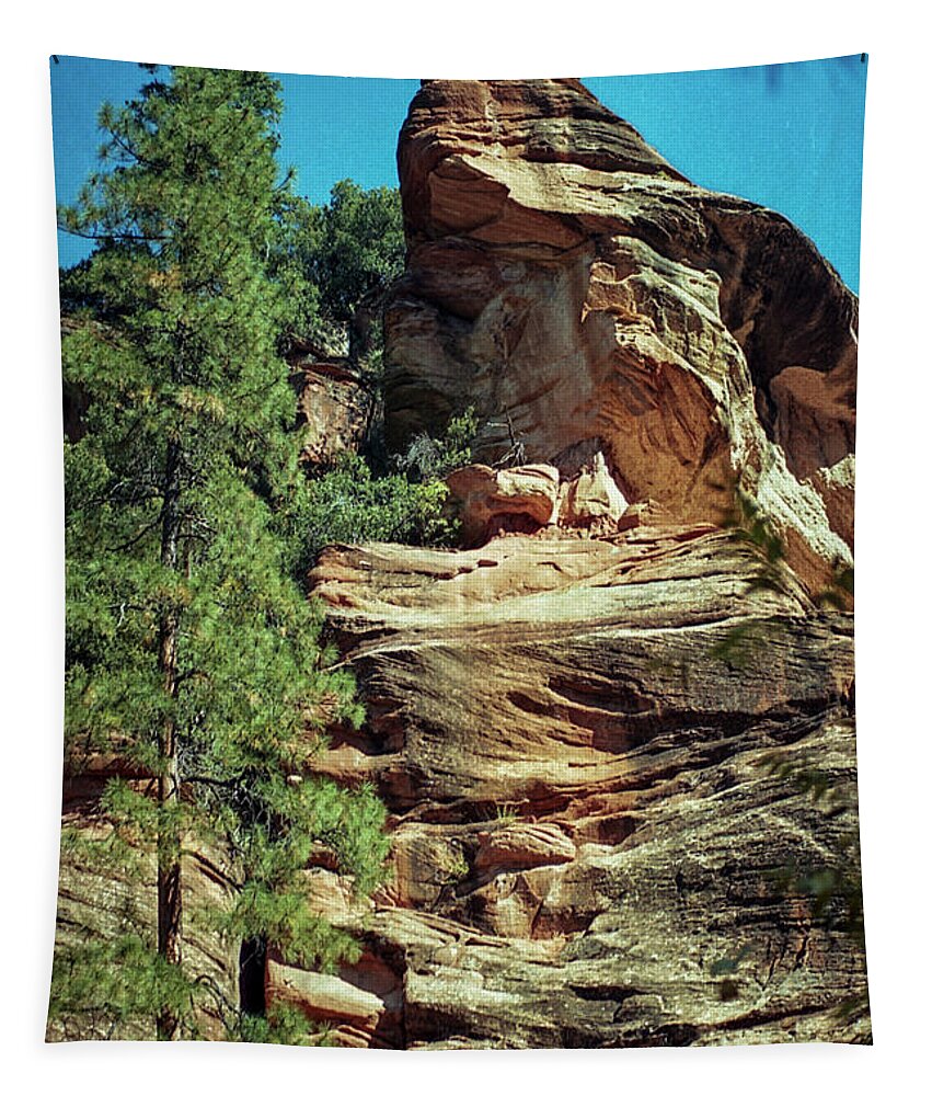 Arizona Tapestry featuring the photograph Psalm 18-2 by Kathy McClure