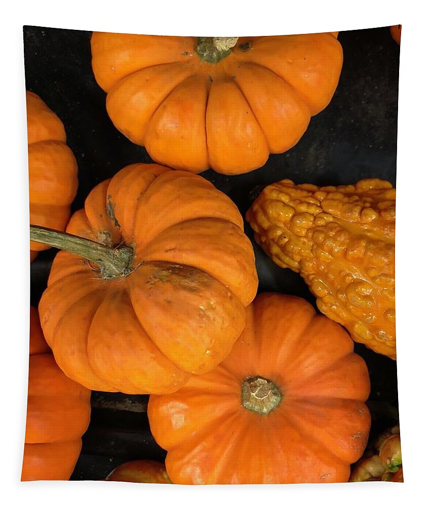 Pumpkin Tapestry featuring the photograph Pumpkin Flat Lay by Lisa Pearlman
