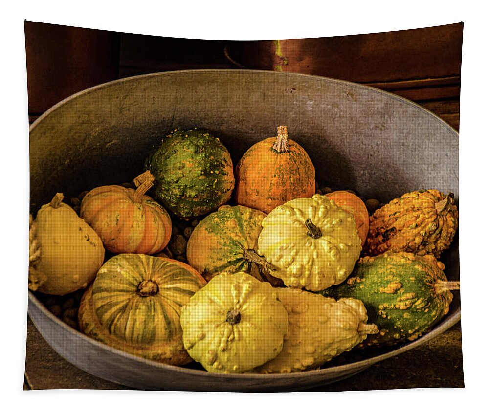 Pumpkins Tapestry featuring the photograph Pumpkins and Gourds by Julie Palencia