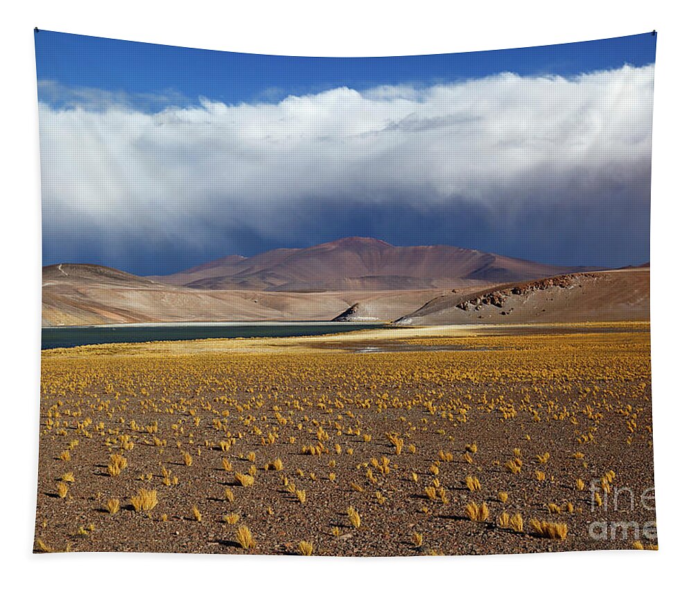 Chile Tapestry featuring the photograph Puna de Atacama near Laguna Santa Rosa Chile by James Brunker